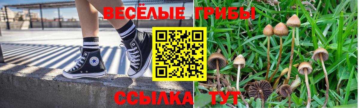 Звенигород  Галлюциногенные грибы ЛСД  Вход с VPN 