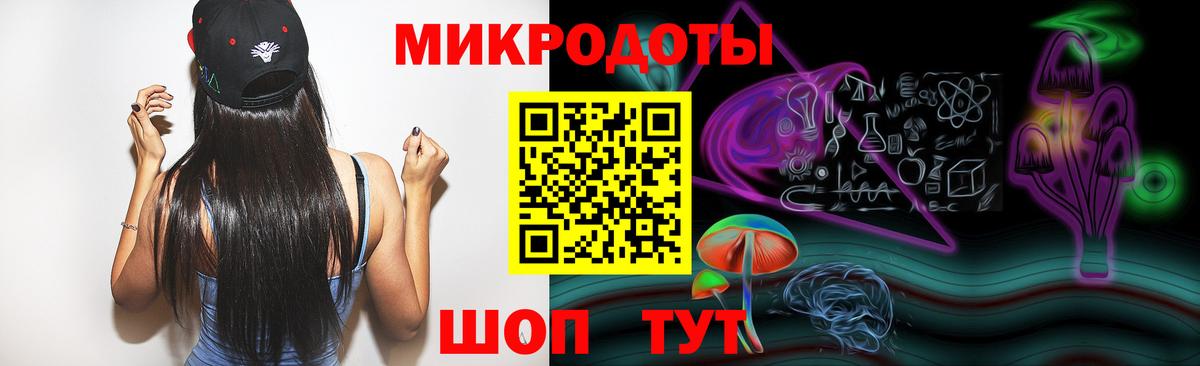 Псилоцибиновые грибы Psilocybe Звенигород