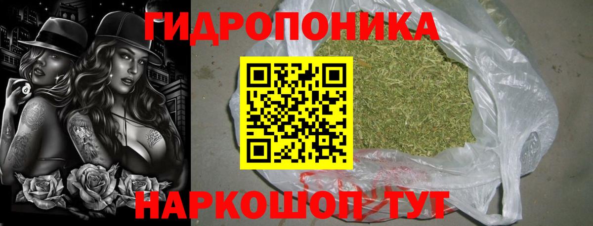 Шишки марихуана сатива Звенигород